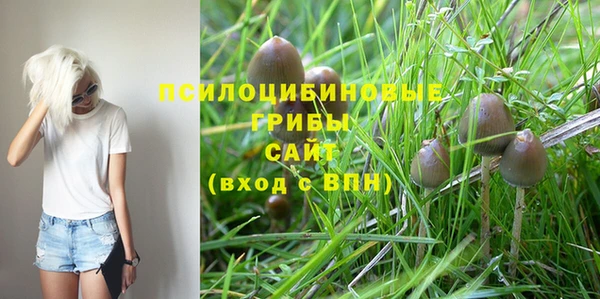 герыч Нягань