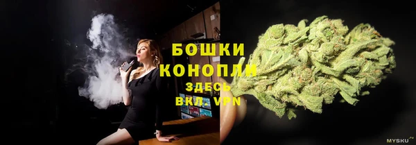 ALPHA-PVP Новозыбков