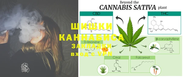 ГАЛЛЮЦИНОГЕННЫЕ ГРИБЫ Няндома