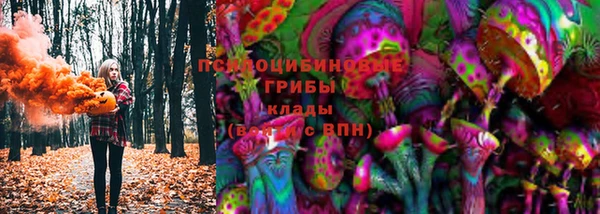 марки lsd Гусиноозёрск