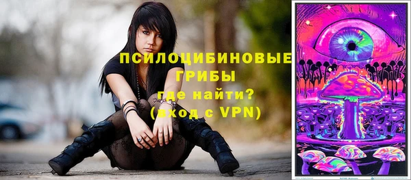 молекула духа Нефтегорск