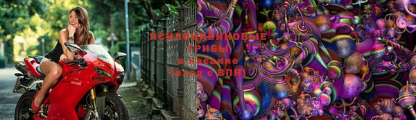 марки lsd Гусиноозёрск