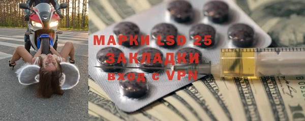 стафф Новокубанск