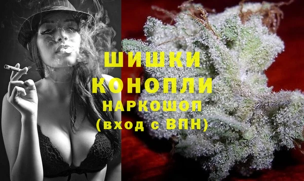 ALPHA-PVP Новозыбков