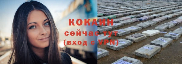 ALPHA-PVP Новозыбков