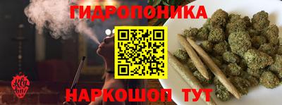шишки Волжский