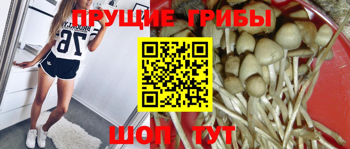 Галлюциногенные грибы MAGIC MUSHROOMS Заводоуковск