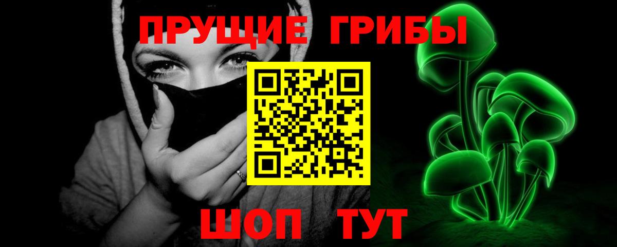 Псилоцибиновые грибы GOLDEN TEACHER  Галлюциногенные грибы прущие грибы  Вход с VPN  Заводоуковск 
